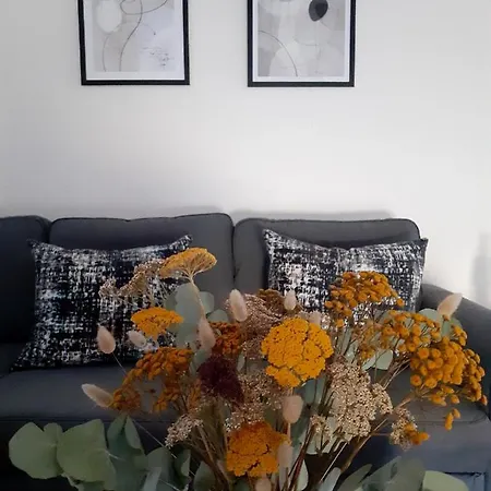 Eifelstern-schoene Mit Balkon Apartment *